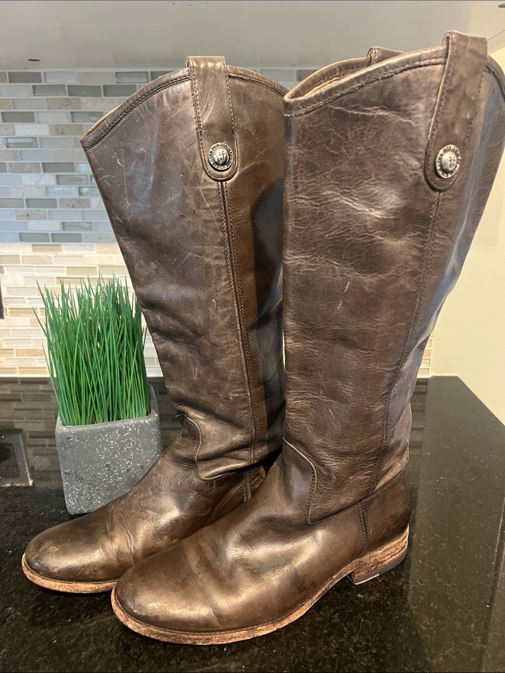 Frye Brown Leather Tall Riding Boots size 7